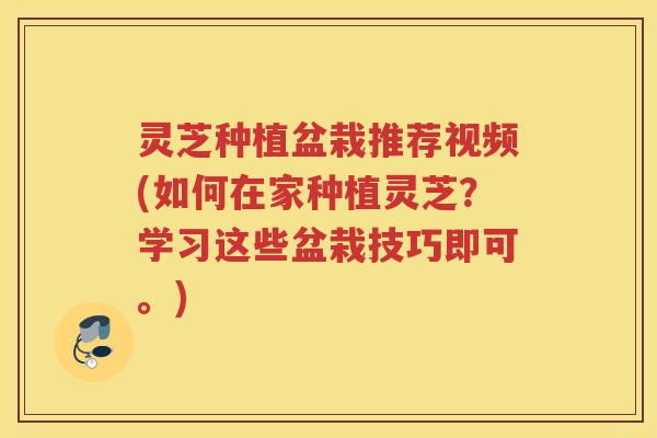 灵芝种植盆栽推荐视频(如何在家种植灵芝？学习这些盆栽技巧即可。)