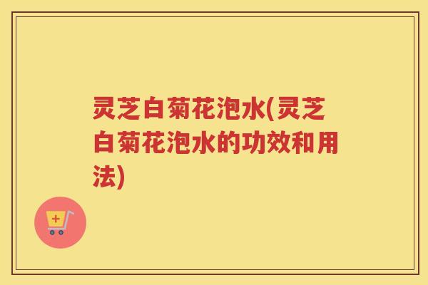灵芝白菊花泡水(灵芝白菊花泡水的功效和用法)