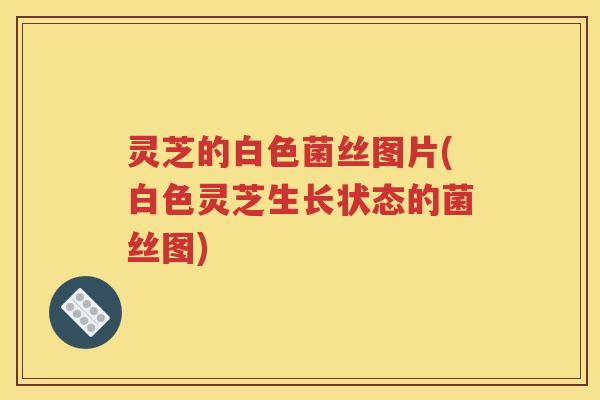 灵芝的白色菌丝图片(白色灵芝生长状态的菌丝图)