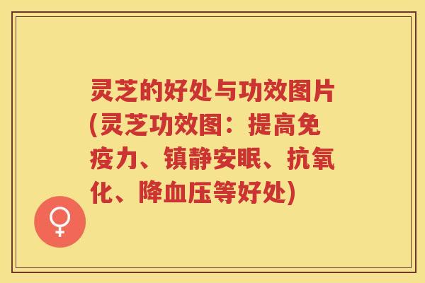 灵芝的好处与功效图片(灵芝功效图：提高免疫力、镇静安眠、抗氧化、降血压等好处)