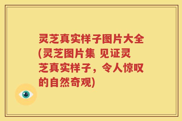 灵芝真实样子图片大全(灵芝图片集 见证灵芝真实样子，令人惊叹的自然奇观)
