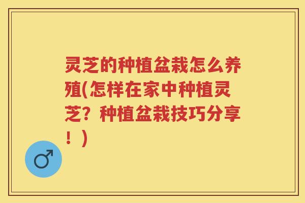灵芝的种植盆栽怎么养殖(怎样在家中种植灵芝？种植盆栽技巧分享！)
