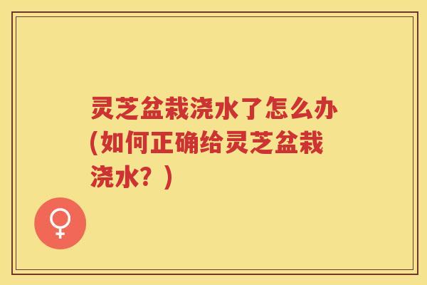 灵芝盆栽浇水了怎么办(如何正确给灵芝盆栽浇水？)