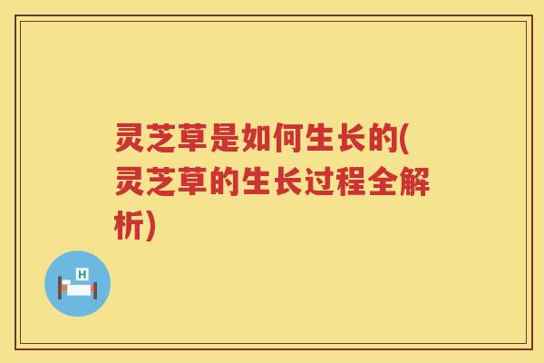 灵芝草是如何生长的(灵芝草的生长过程全解析)