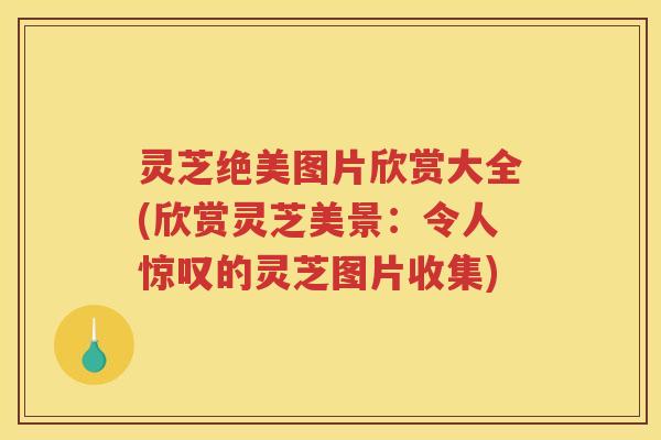 灵芝绝美图片欣赏大全(欣赏灵芝美景：令人惊叹的灵芝图片收集)