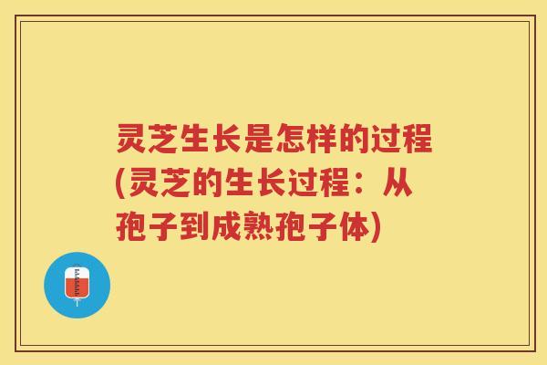 灵芝生长是怎样的过程(灵芝的生长过程：从孢子到成熟孢子体)