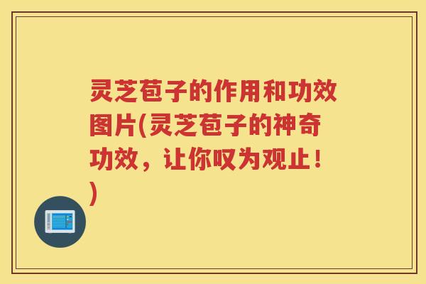 灵芝苞子的作用和功效图片(灵芝苞子的神奇功效,让你叹为观止!) 灵芝苞子的作用和功效图片(灵芝苞子的神奇功效,让你叹为观止!)