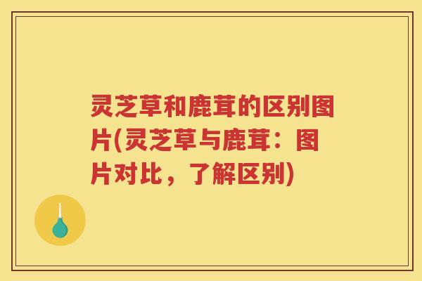 灵芝草和鹿茸的区别图片(灵芝草与鹿茸：图片对比，了解区别)