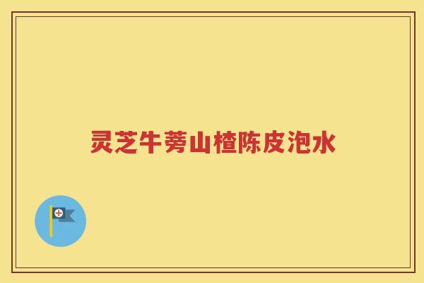 灵芝牛蒡山楂陈皮泡水