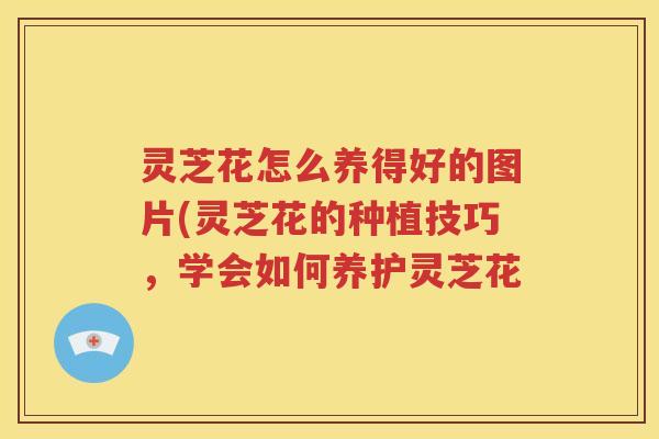 灵芝花怎么养得好的图片(灵芝花的种植技巧，学会如何养护灵芝花