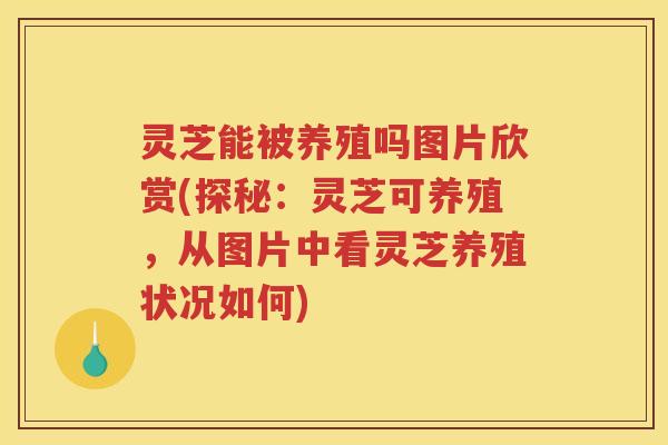 灵芝能被养殖吗图片欣赏(探秘：灵芝可养殖，从图片中看灵芝养殖状况如何)