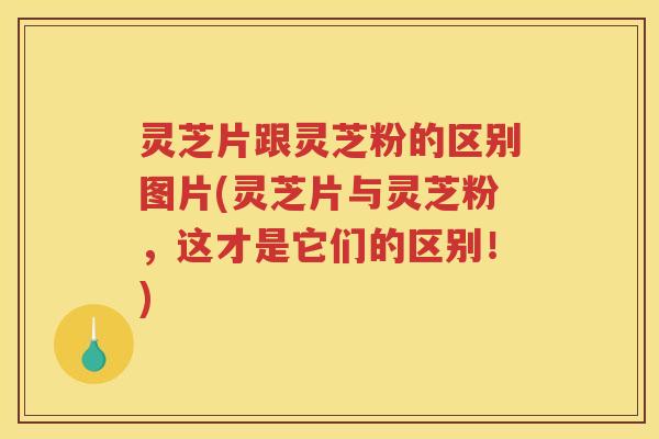 灵芝片跟灵芝粉的区别图片(灵芝片与灵芝粉,这才是它们的区别!) 灵芝片跟灵芝粉的区别图片(灵芝片与灵芝粉,这才是它们的区别!)