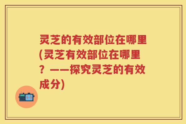 灵芝的有效部位在哪里(灵芝有效部位在哪里？——探究灵芝的有效成分)