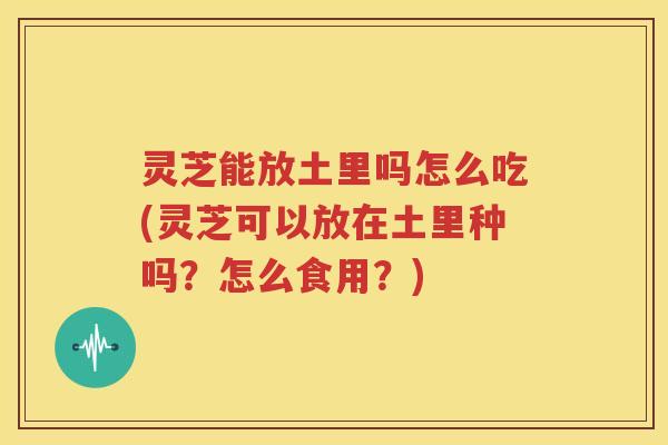 灵芝能放土里吗怎么吃(灵芝可以放在土里种吗？怎么食用？)