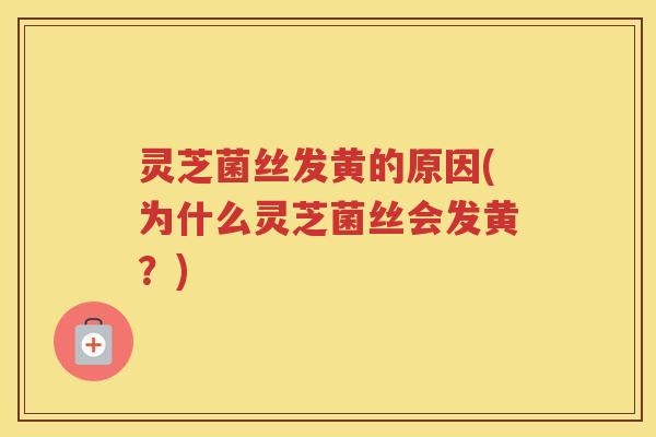 灵芝菌丝发黄的原因(为什么灵芝菌丝会发黄?)