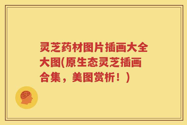 灵芝药材图片插画大全大图(原生态灵芝插画合集,美图赏析!) 灵芝药材图片插画大全大图(原生态灵芝插画合集,美图赏析!)