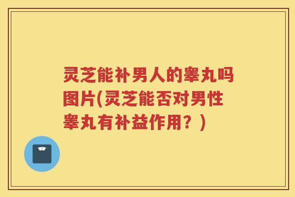 灵芝能补男人的睾丸吗图片(灵芝能否对男性睾丸有补益作用？)
