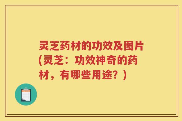 灵芝药材的功效及图片(灵芝：功效神奇的药材，有哪些用途？)