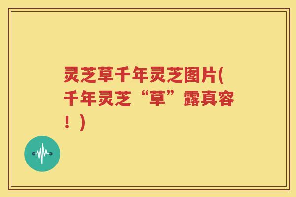 灵芝草千年灵芝图片(千年灵芝“草”露真容！)