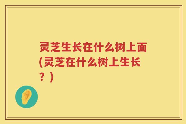 灵芝生长在什么树上面(灵芝在什么树上生长？)