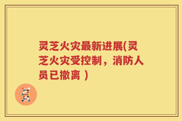 灵芝火灾最新进展(灵芝火灾受控制，消防人员已撤离 )
