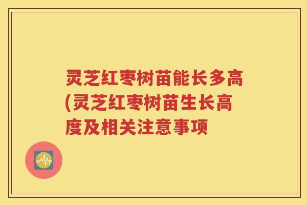 灵芝红枣树苗能长多高(灵芝红枣树苗生长高度及相关注意事项