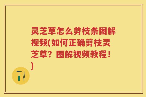 灵芝草怎么剪枝条图解视频(如何正确剪枝灵芝草？图解视频教程！)