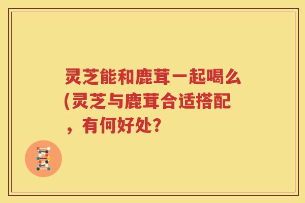 灵芝能和鹿茸一起喝么(灵芝与鹿茸合适搭配，有何好处？