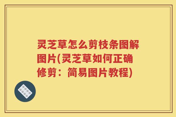 灵芝草怎么剪枝条图解图片(灵芝草如何正确修剪:简易图片教程) 灵芝草怎么剪枝条图解图片(灵芝草如何正确修剪:简易图片教程)