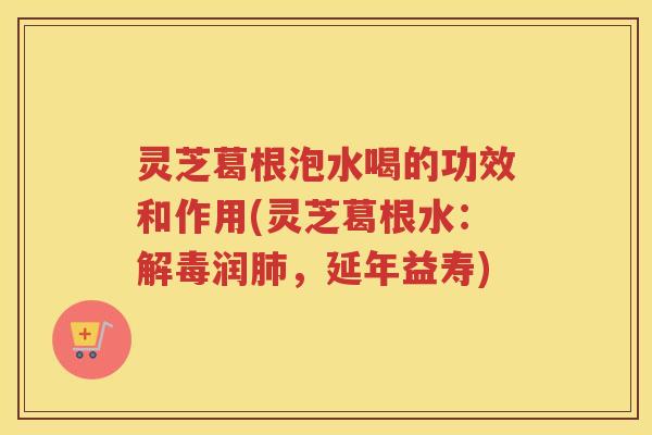 灵芝葛根泡水喝的功效和作用(灵芝葛根水：解毒润肺，延年益寿)