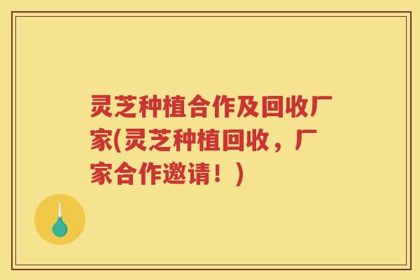 灵芝种植合作及回收厂家(灵芝种植回收，厂家合作邀请！)