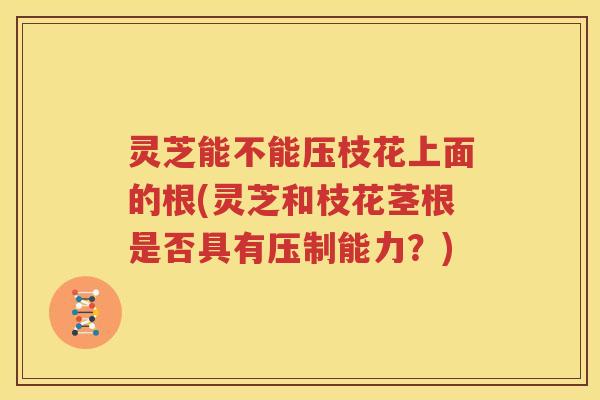 灵芝能不能压枝花上面的根(灵芝和枝花茎根是否具有压制能力？)