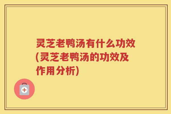 灵芝老鸭汤有什么功效(灵芝老鸭汤的功效及作用分析)