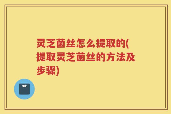 灵芝菌丝怎么提取的(提取灵芝菌丝的方法及步骤)
