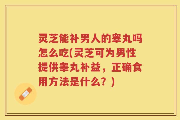灵芝能补男人的睾丸吗怎么吃(灵芝可为男性提供睾丸补益，正确食用方法是什么？)