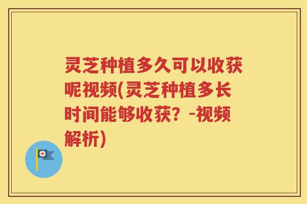 灵芝种植多久可以收获呢视频(灵芝种植多长时间能够收获？-视频解析)