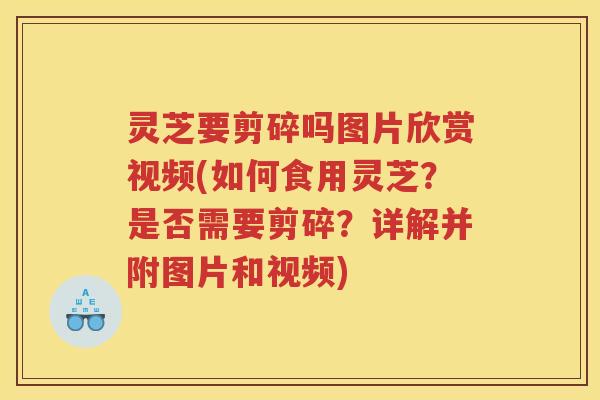 灵芝要剪碎吗图片欣赏视频(如何食用灵芝？是否需要剪碎？详解并附图片和视频)