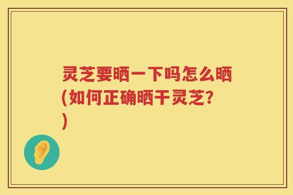 灵芝要晒一下吗怎么晒(如何正确晒干灵芝？)