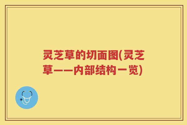 灵芝草的切面图(灵芝草——内部结构一览)