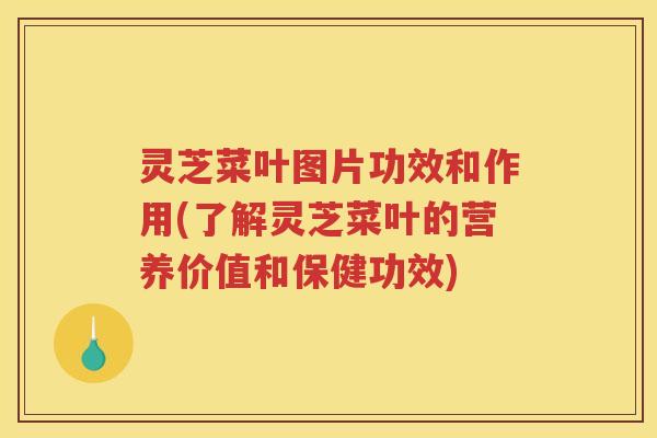 灵芝菜叶图片功效和作用(了解灵芝菜叶的营养价值和保健功效)