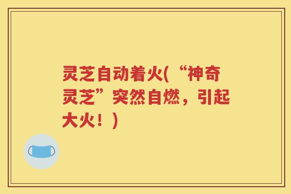 灵芝自动着火(“神奇灵芝”突然自燃，引起大火！)