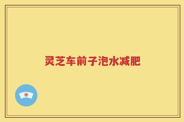 灵芝车前子泡水减肥