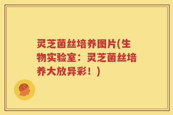 灵芝菌丝培养图片(生物实验室：灵芝菌丝培养大放异彩！)