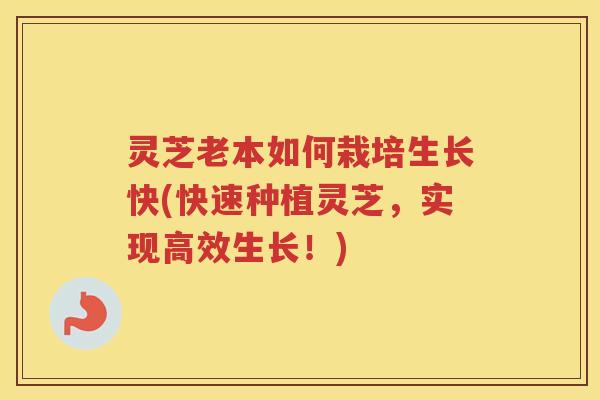 灵芝老本如何栽培生长快(快速种植灵芝，实现高效生长！)