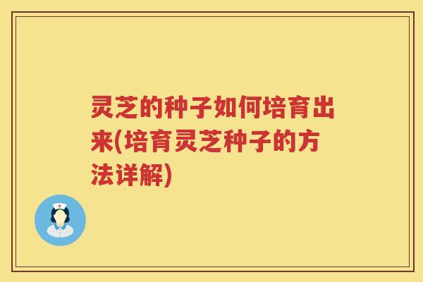 灵芝的种子如何培育出来(培育灵芝种子的方法详解)