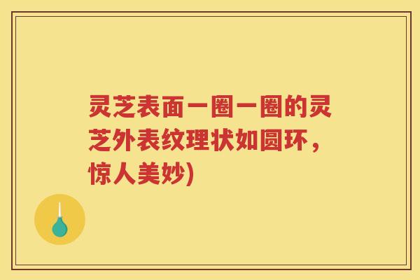 灵芝表面一圈一圈的灵芝外表纹理状如圆环，惊人美妙)