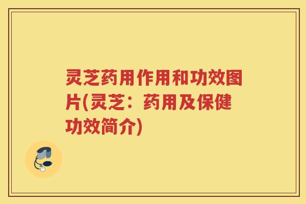 灵芝药用作用和功效图片(灵芝：药用及保健功效简介)