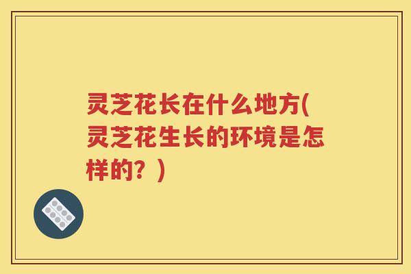 灵芝花长在什么地方(灵芝花生长的环境是怎样的？)