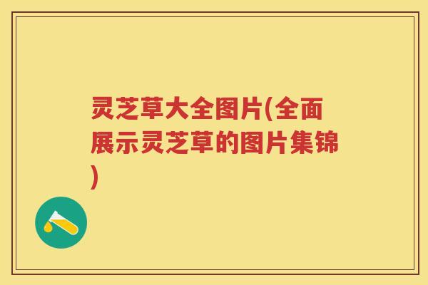 灵芝草大全图片(全面展示灵芝草的图片集锦)