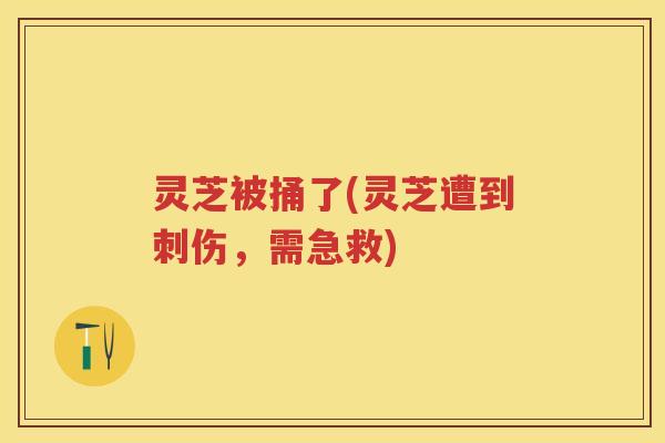 灵芝被捅了(灵芝遭到刺伤，需急救)